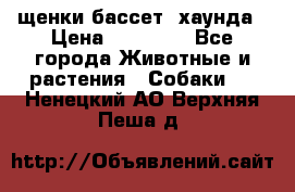 щенки бассет- хаунда › Цена ­ 20 000 - Все города Животные и растения » Собаки   . Ненецкий АО,Верхняя Пеша д.